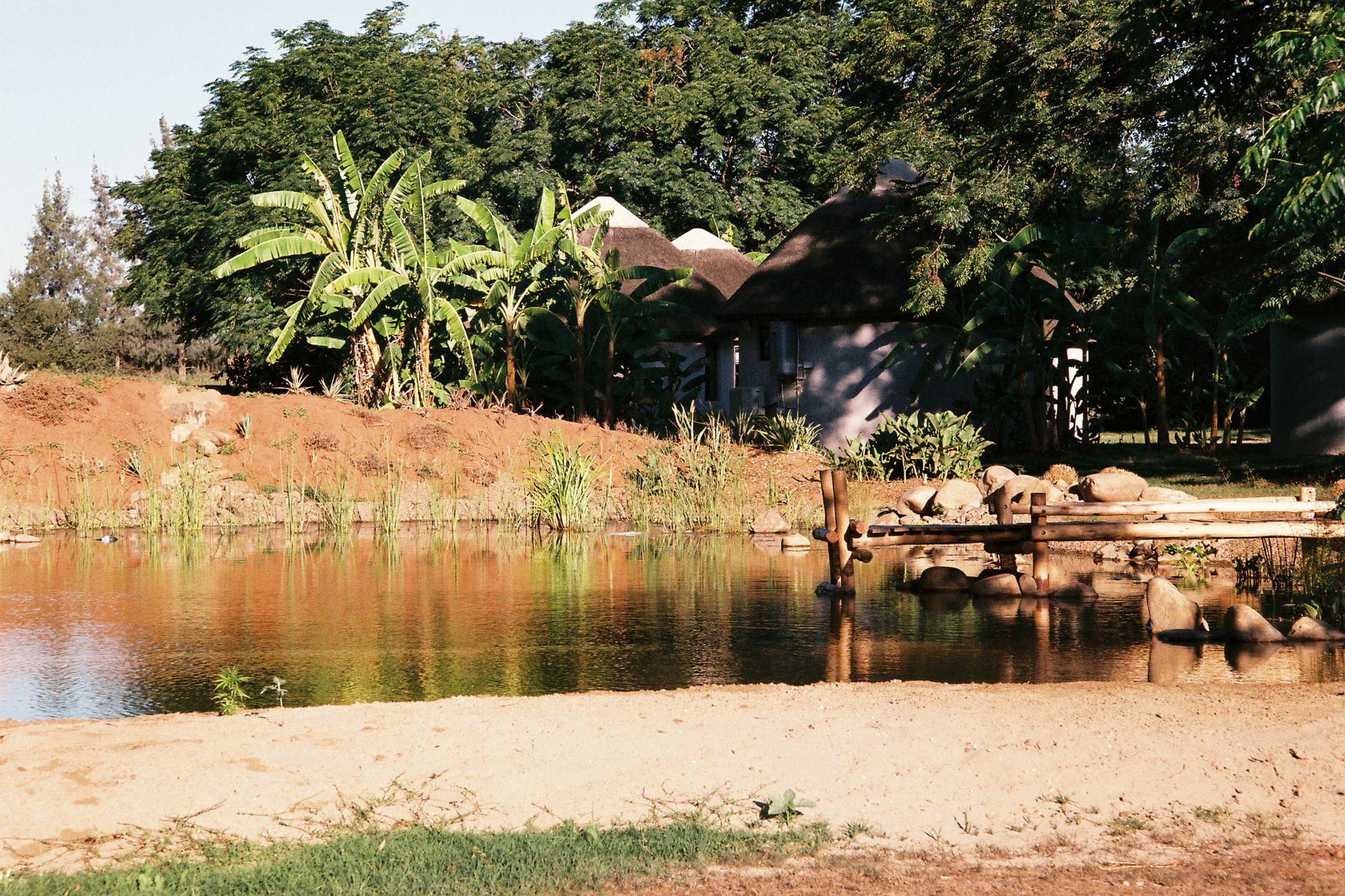 Addo African Home المظهر الخارجي الصورة